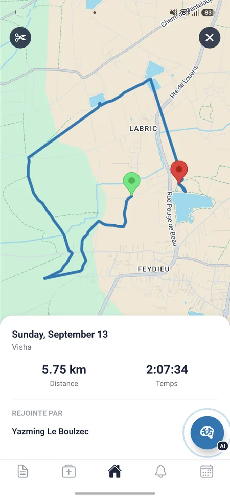 Carte de suivi de balade avec l'itinéraire d'une promenade du chien