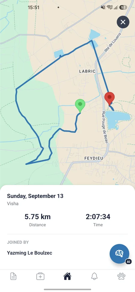 Dog walk tracker map showing the route of a walk